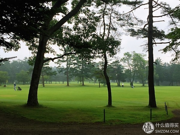 深度日本个人游攻略,日本旅游最后一日游攻略