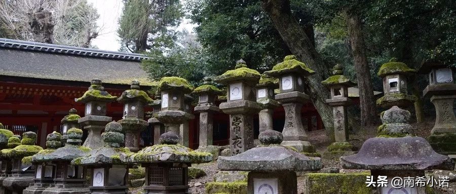 日语动漫学习网站,日语零基础免费学习网站