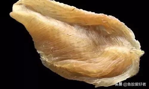 花胶最佳配方和价格,花胶应该怎样挑选