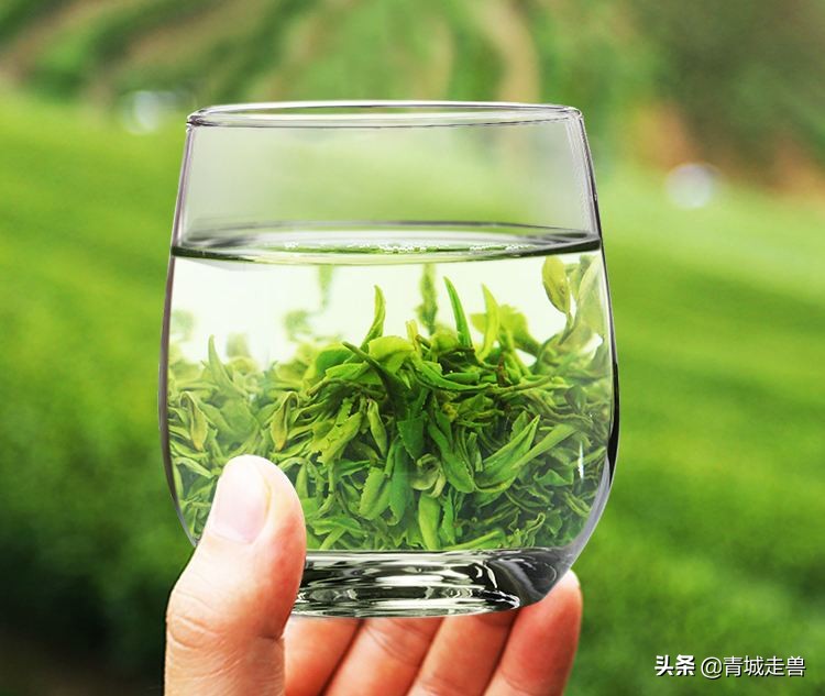 来青岛喝青岛啤酒喝哪种,来青岛喝青岛饮料