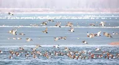 沈阳10大民生实事项目,今年沈阳12件民生实事全面推进