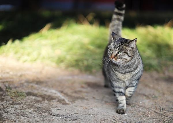 摄影术语解读大全,摄影圈名字大全