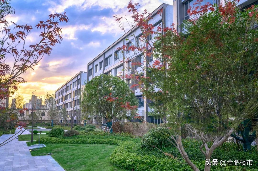 滨湖新区新盘,滨湖新区高档楼盘样板房