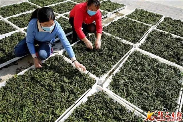 郧西县2018精准扶贫,十堰市郧西县精准扶贫