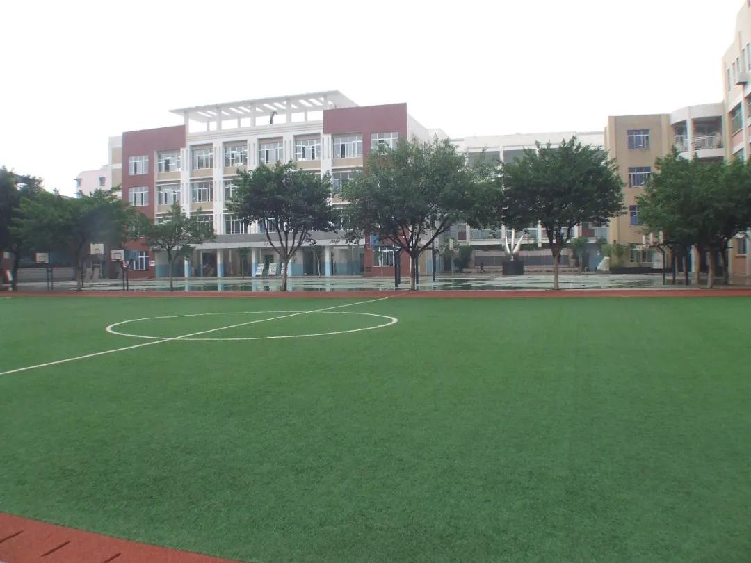 我把德阳市的校园春天寄给你