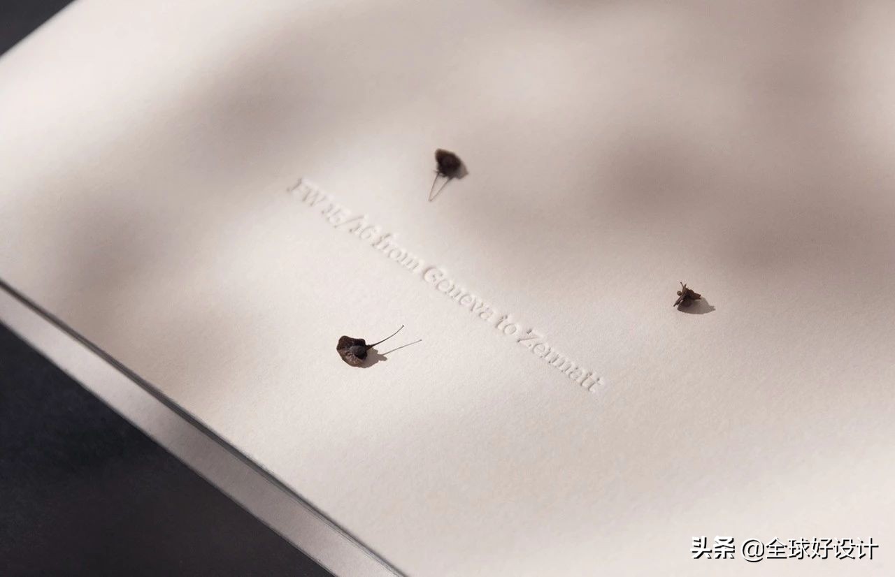 奢侈品品牌设计,奢华品牌家私