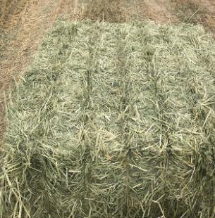 干草储存方法,干草储存湿度要求