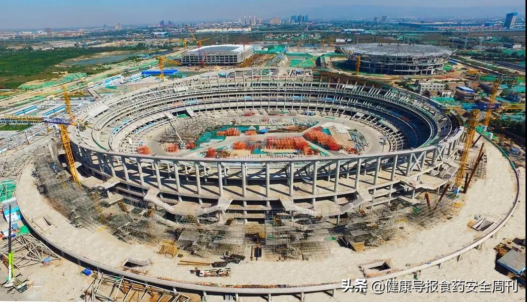 西安世园会石榴花,西安石榴花