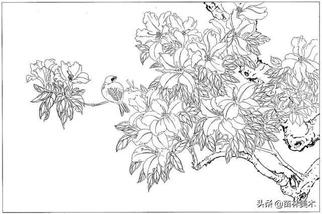 现代国画工笔花鸟白描及完整版,路雨年工笔白描花鸟团扇高清图片