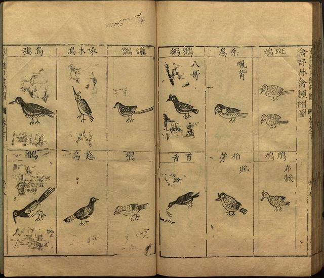 李时珍本草纲目书目录,李时珍本草纲目下卷