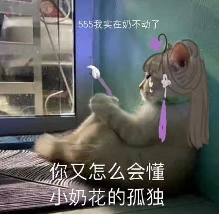 剑网三天策竞技场攻略,剑网三天策pvp强势吗