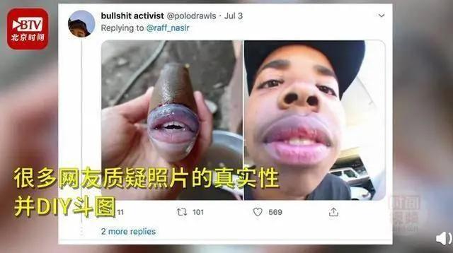 炮弹鱼长的像谁,大体型炮弹鱼