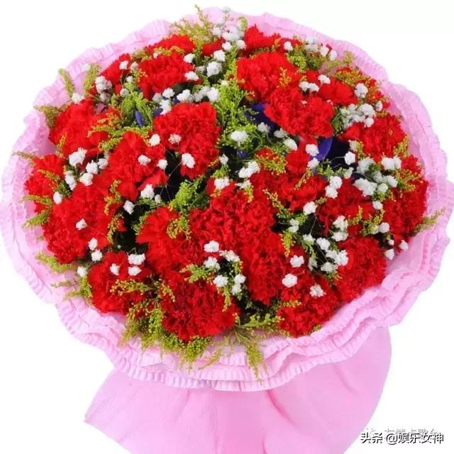 送给老师教师节礼物康乃馨,康乃馨教师节祝福语简短10字