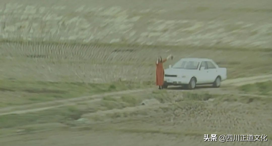 值得看的电影春天,春天的电影名字