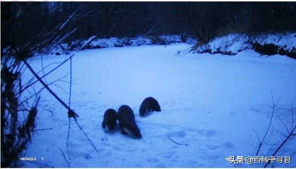 五月的最后一天是星期几,五月的第三个星期天是什么节日