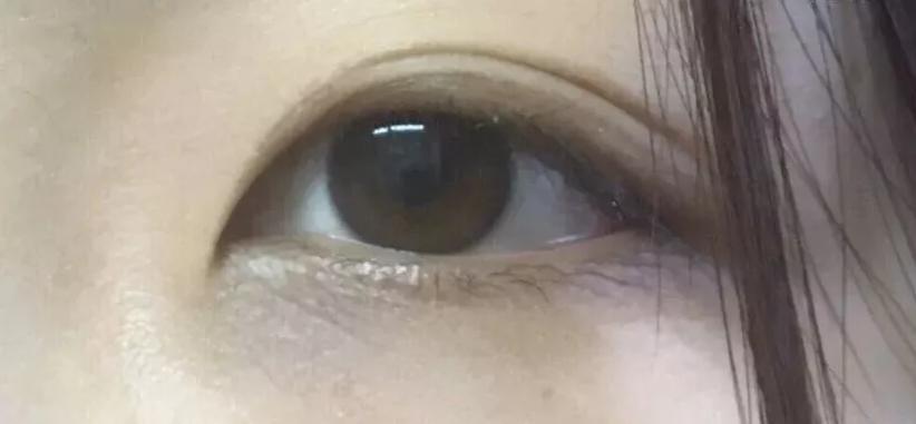 雅诗兰黛小棕瓶对比兰蔻菁纯眼霜,雅诗兰黛小棕瓶眼霜与兰蔻小黑瓶