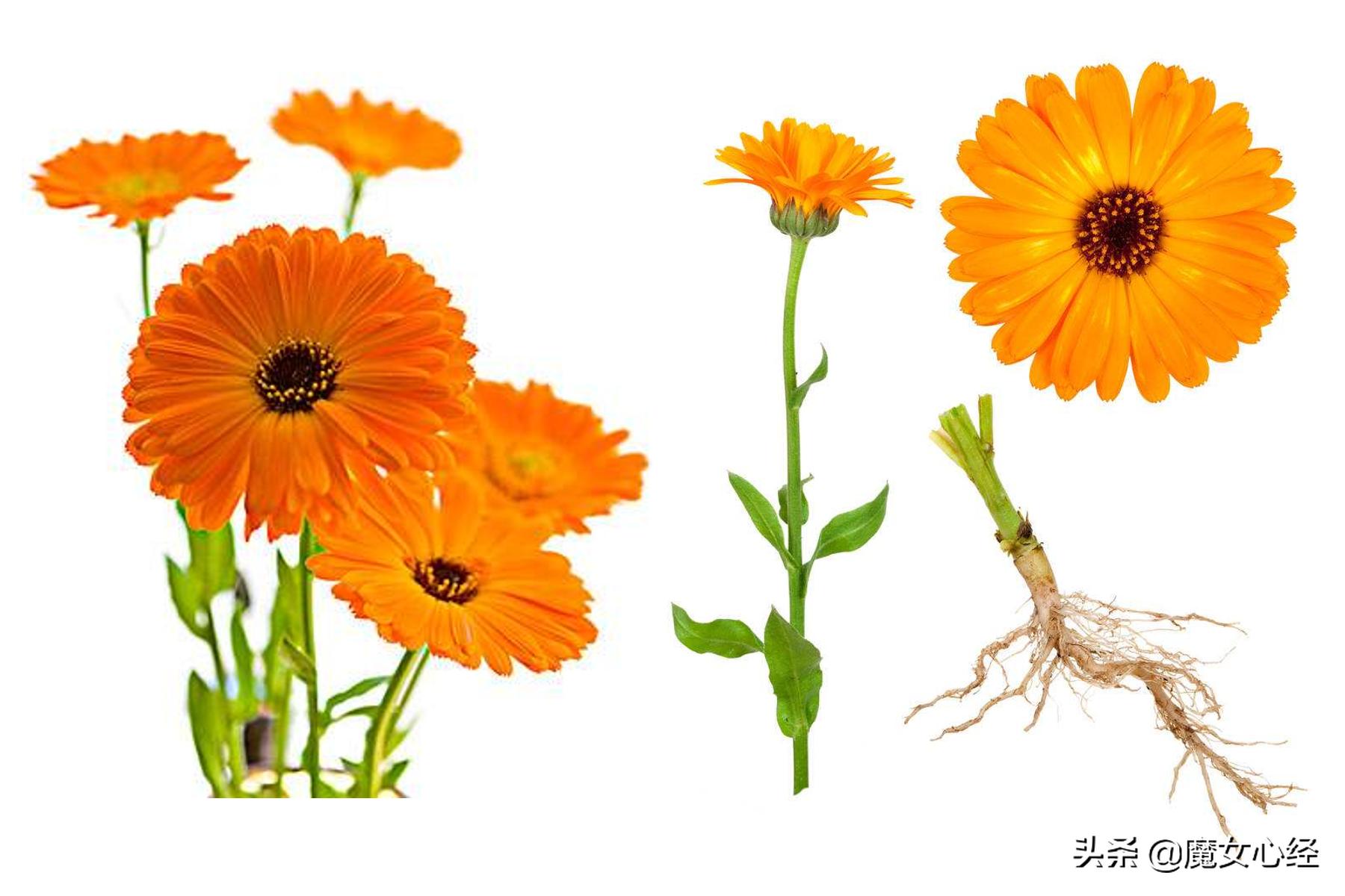 护肤品中的补水保湿成分,修护类护肤品适合哪些肤质