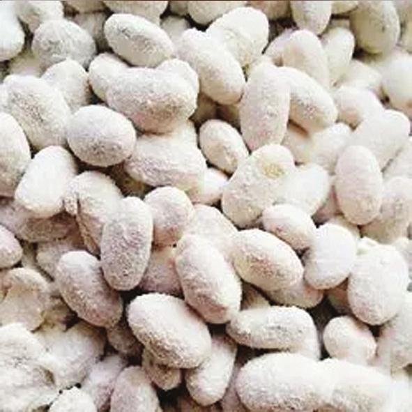 晒酱豆发酸什么原因,怎样用黄蒿晒酱豆子