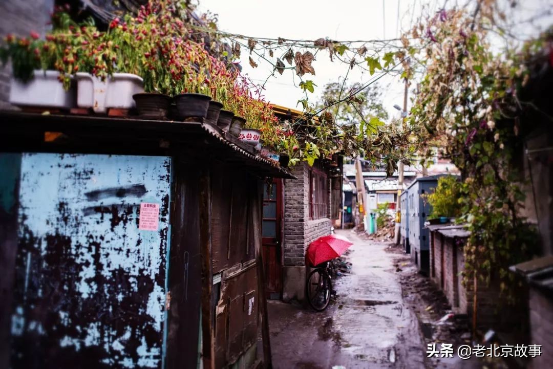 名人笔下的夏天段落,文人墨客笔下的北京