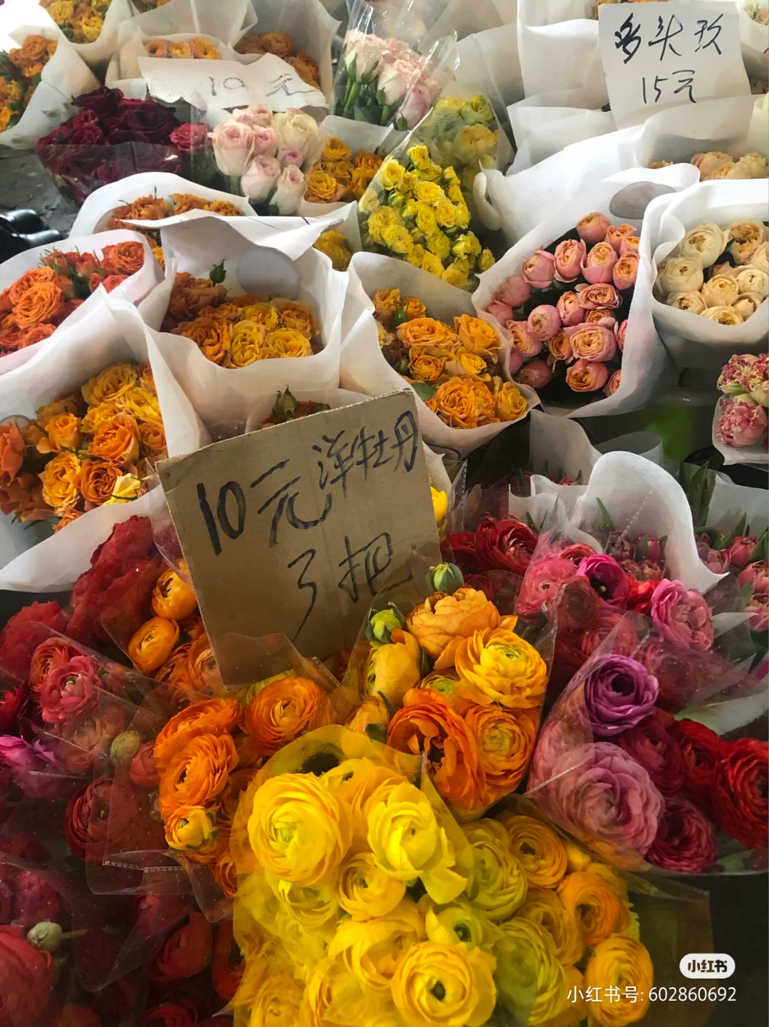 成都的花市批发市场在哪里,成都花市合集