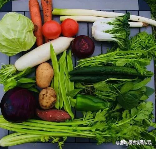 带娃周边3-4天自由行攻略,又到周末要带娃