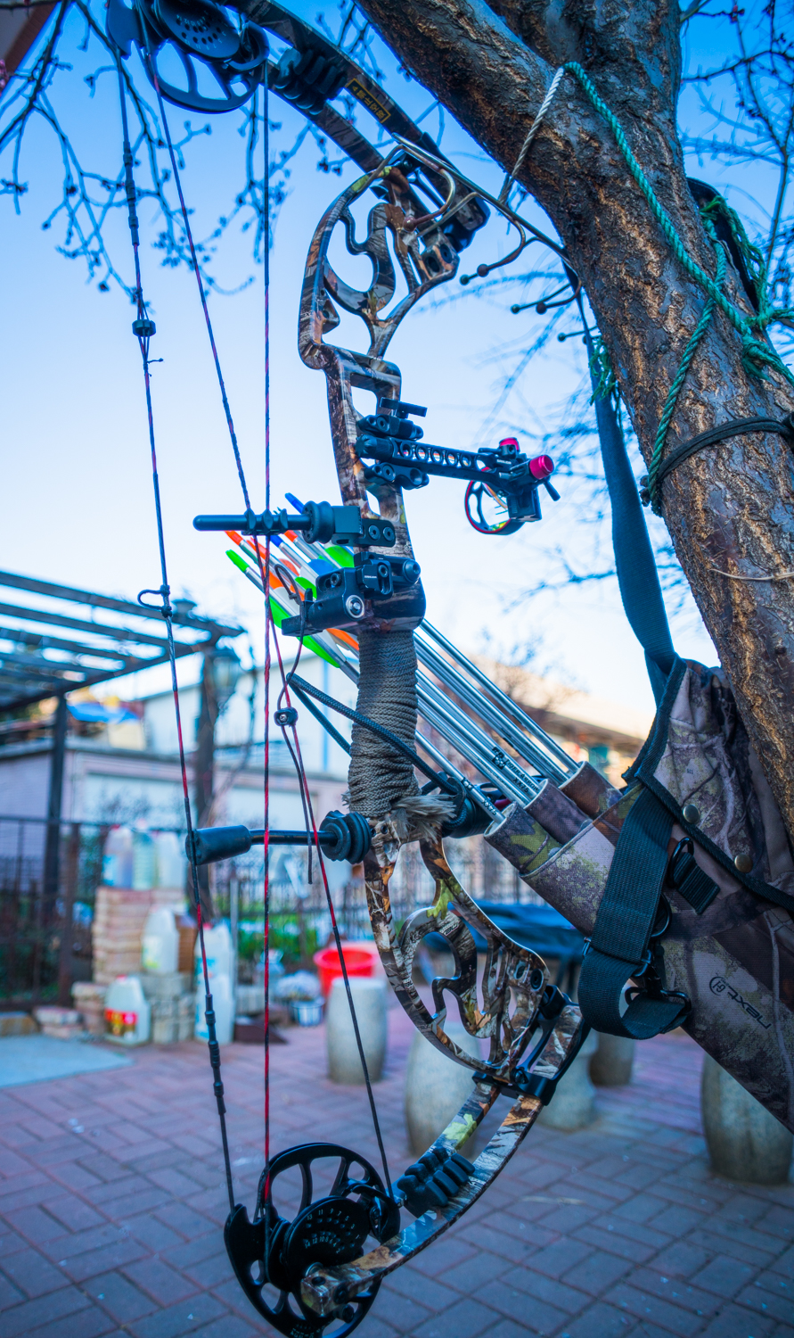 国产复合弓十大品牌,实战测试弓和弩