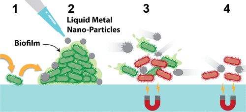 创面细菌生物膜处理方法,细菌生物膜与慢性创面感染