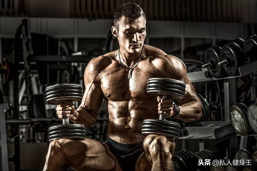 一副哑铃，五个动作，让你在家也能锻炼全身肌肉