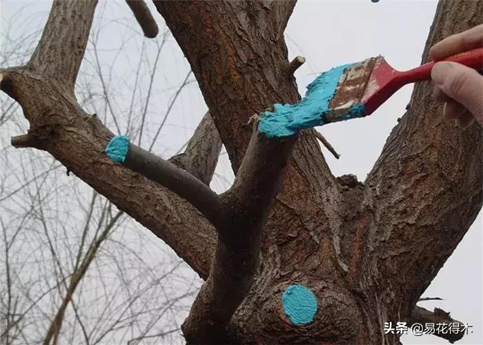 下山桩杀根没到位怎么处理,下山桩的处理方法