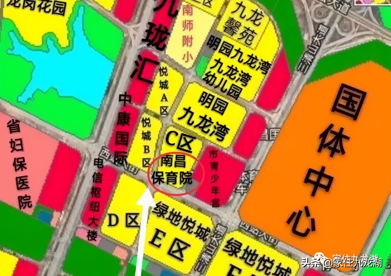 九龙湖有私立幼儿园,九龙湖什么幼儿园最好