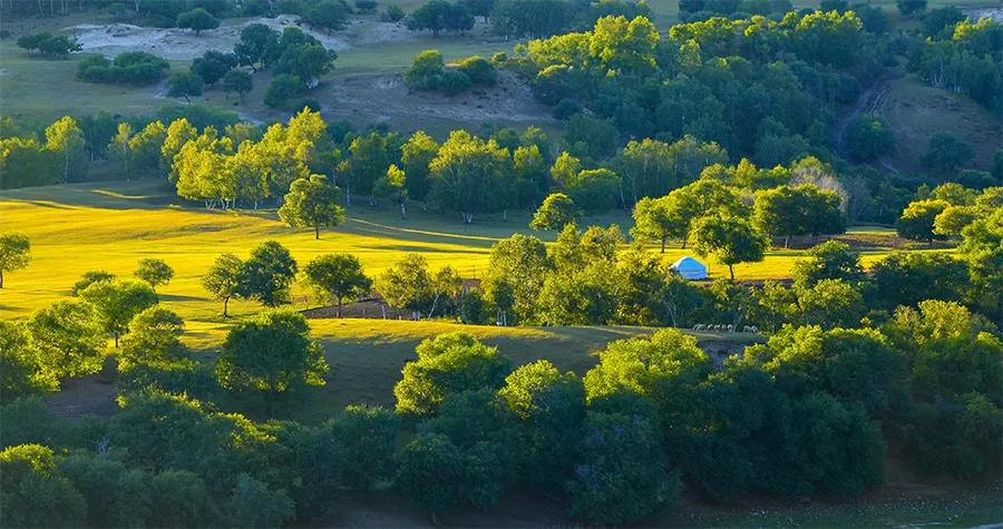 儿童画教程7-10岁风景画秋天主题,秋天简单色块儿童画
