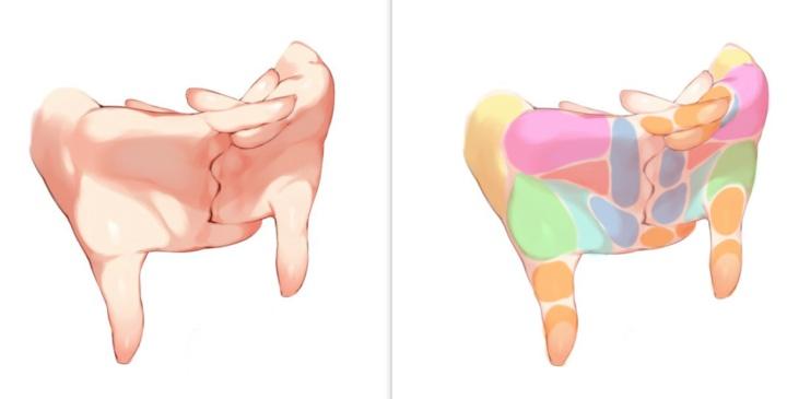 绘画简单的手部,画画小助手又简单又萌又好看