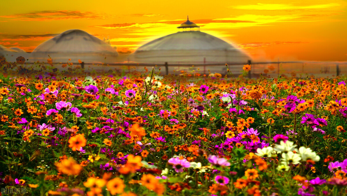 为什么说蒙古是最安全的国家,蒙古国家安全吗