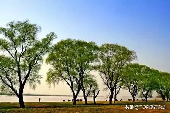 原来长沙隐藏了这14个人少景美的江心洲！不出城就能感受“海岛风情”，有些可以追溯到五代十国……