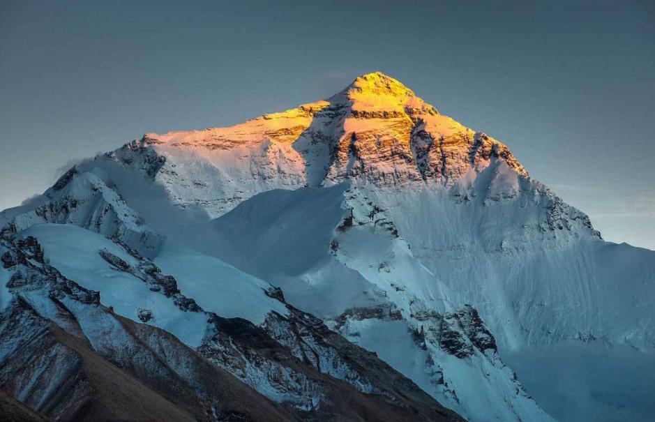 海关发现13只活体甲虫,海关检查发现活体甲虫