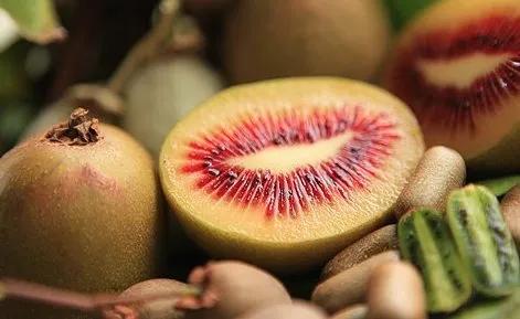 黄心猕猴桃和红心火龙果哪个好,红心和白心火龙果营养价值一样吗