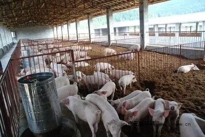 北大荒农业最新消息,北大荒农业最新新闻