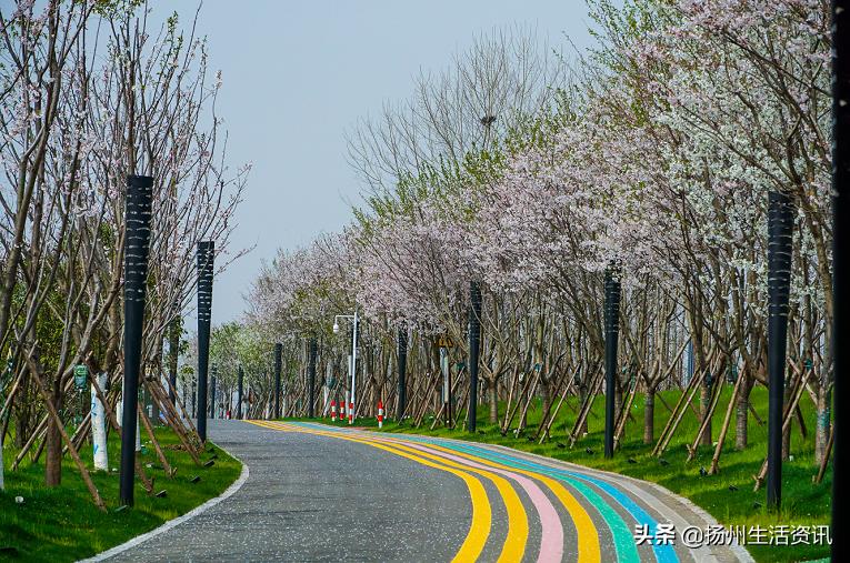 扬州600亿大项目,崛起多少钱