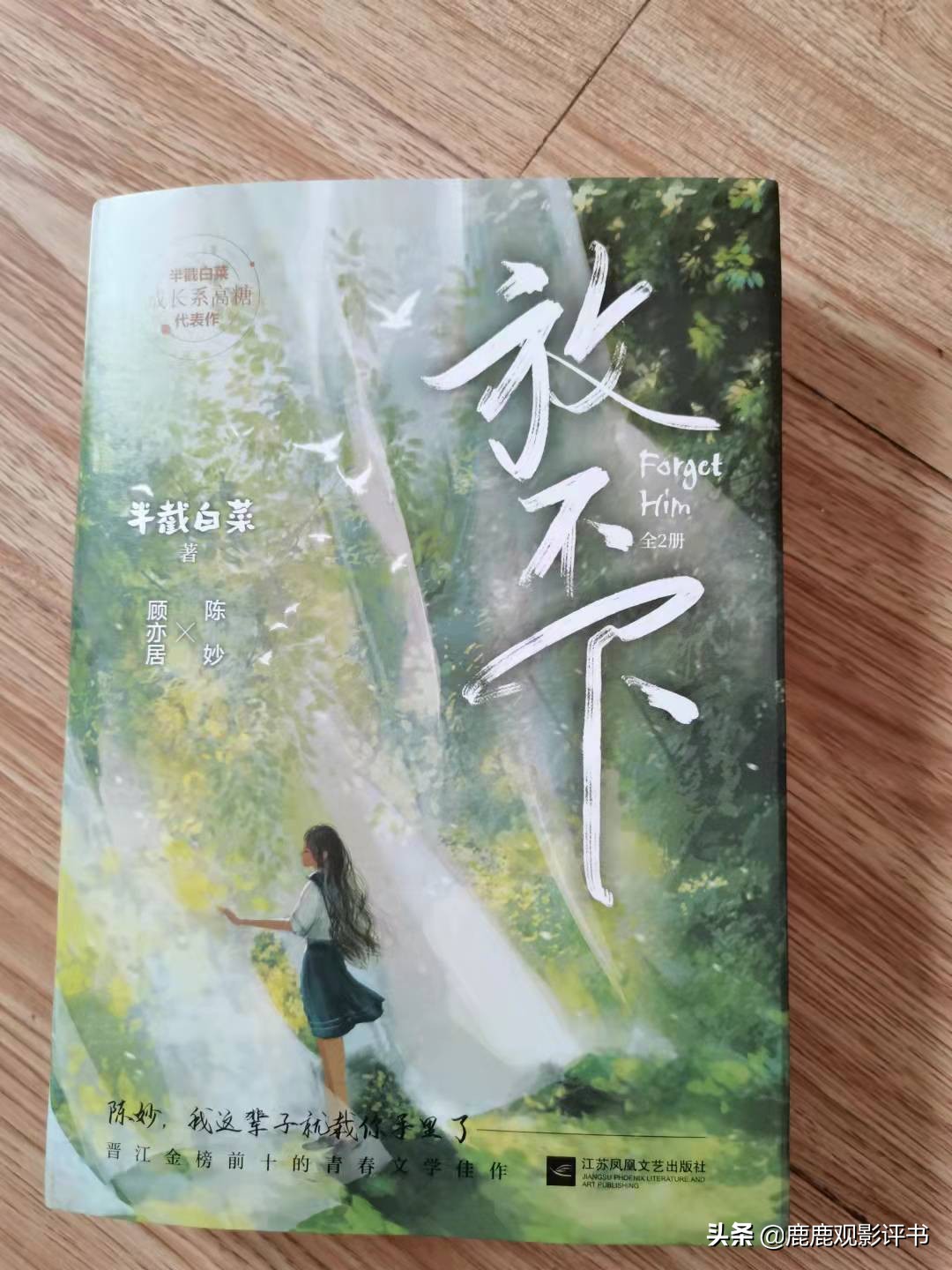 书评：以另类的角度看晋江金榜作品半截白菜的甜宠文《放不下》