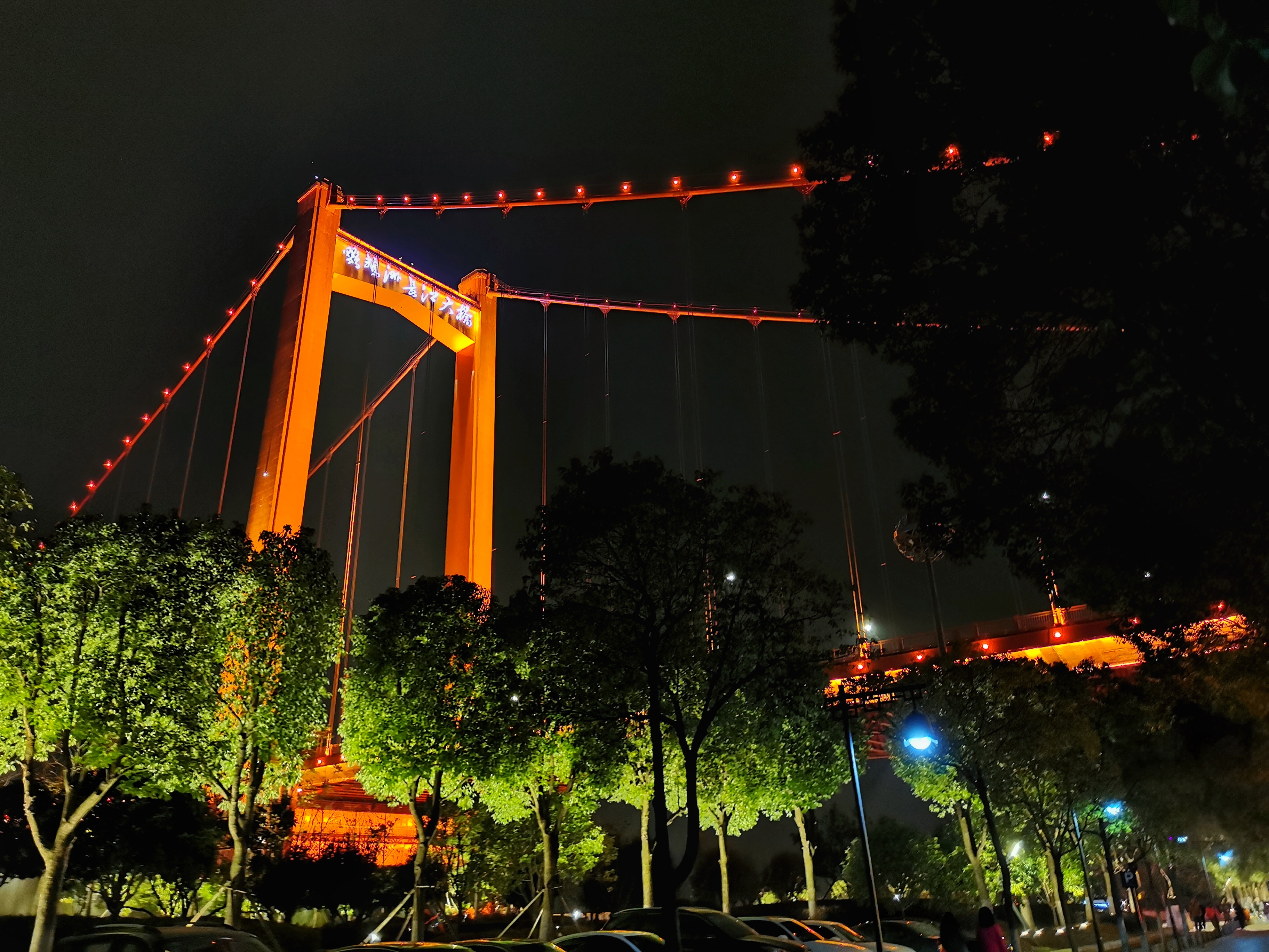 甲鱼店优势劣势,2019全国甲鱼销量