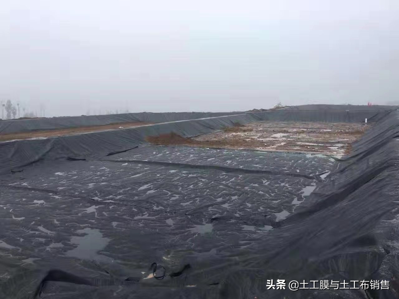 莲藕产业经济效益高的栽培模式-莲藕专用膜的投入与使用