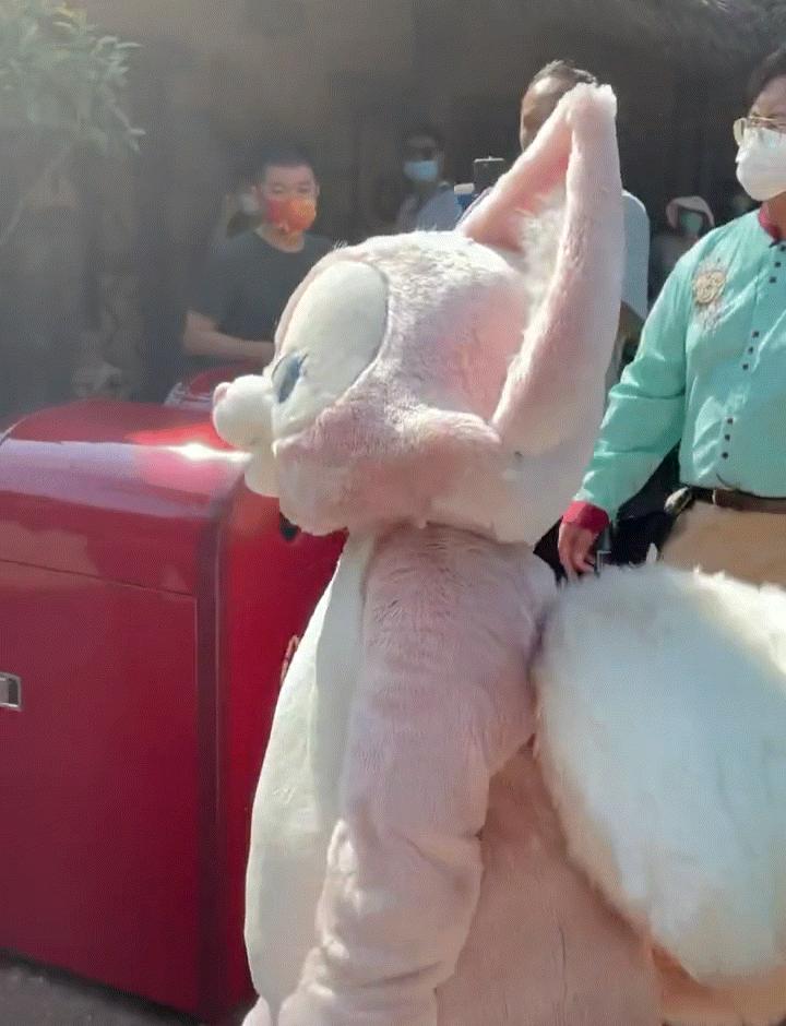 艳压星黛露的“四字爱豆”，抢了多少钱？