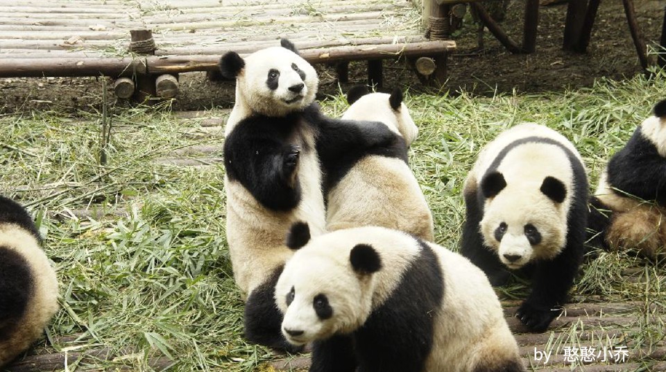 因为你们，“爱豆”的世界离我们不再远咯