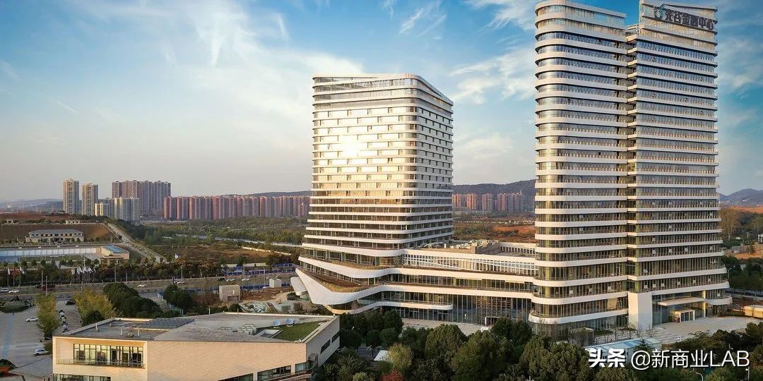 姝︽眽涓轰粈涔堣绉颁负閰掑簵鑽掓紶,姝︽眽閰掑簵鑽掓紶