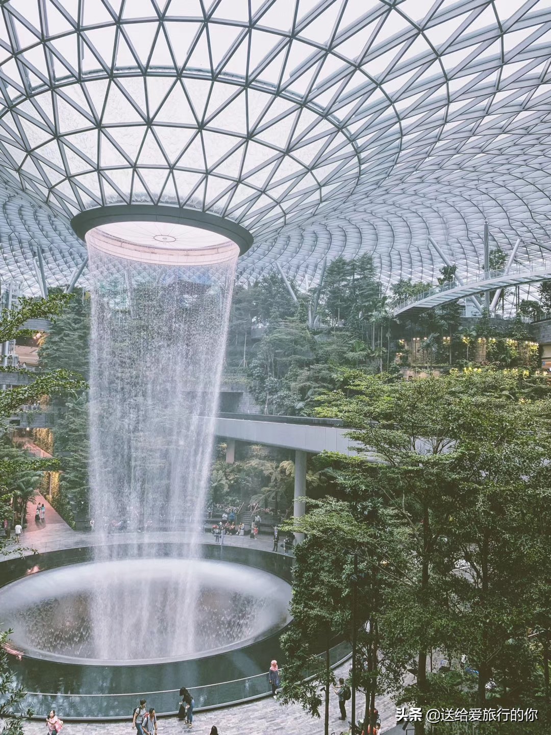 旅居新加坡的华人,旅居海外的华人