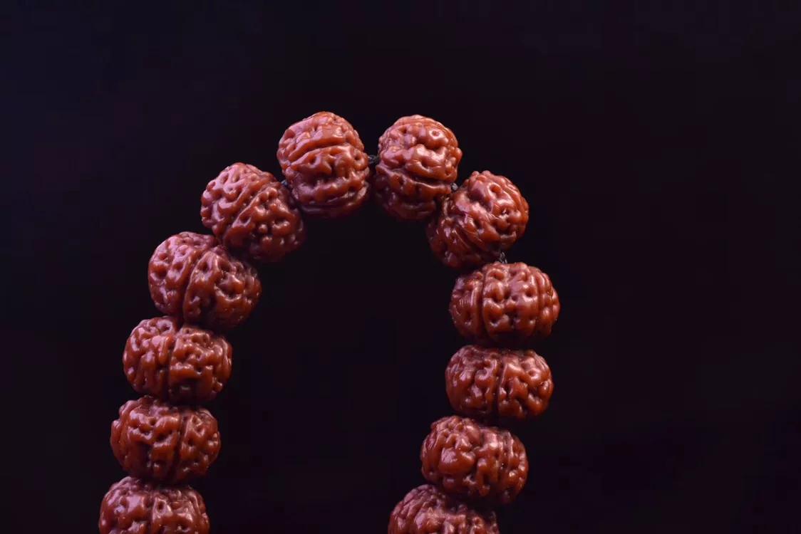 老树王单圈小金刚搭配,老树王小金刚单圈谁家好