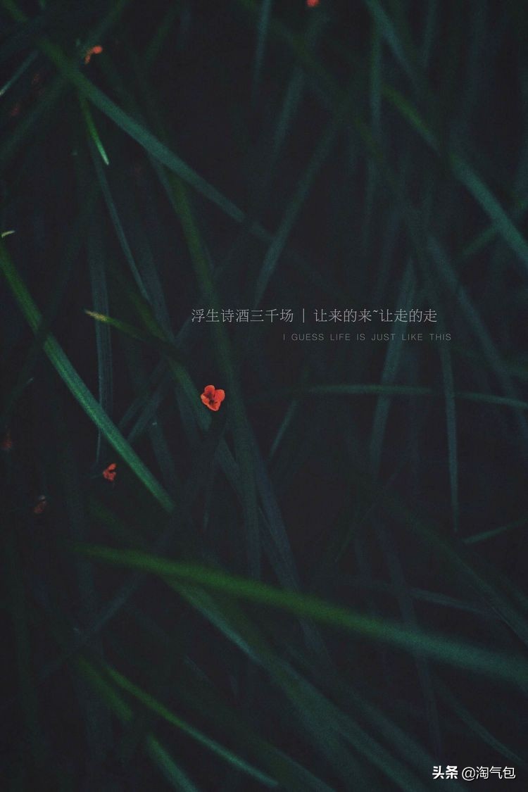 秋分一半热烈一半安详,秋分秋天分两半