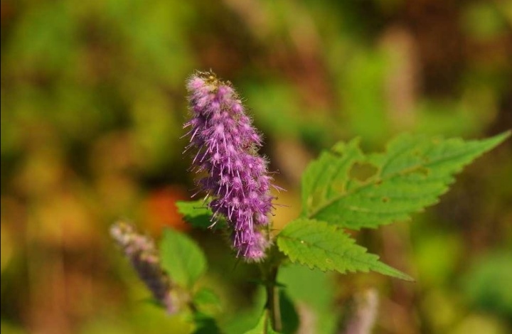 站久了腿肿了用热水敷还是冷水,站久了腿疼小腿肿