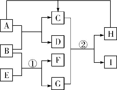物质的转化与推断会用到的物质,初三化学上册的物质转化与推断