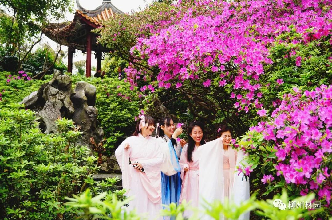 柳州柳侯公园有什么景物,柳州柳侯公园值得打卡